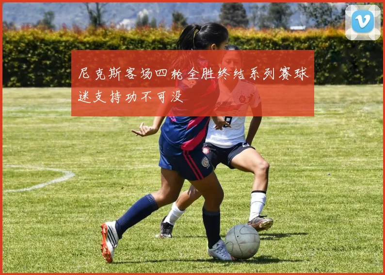 尼克斯客场四轮全胜终结系列赛球迷支持功不可没