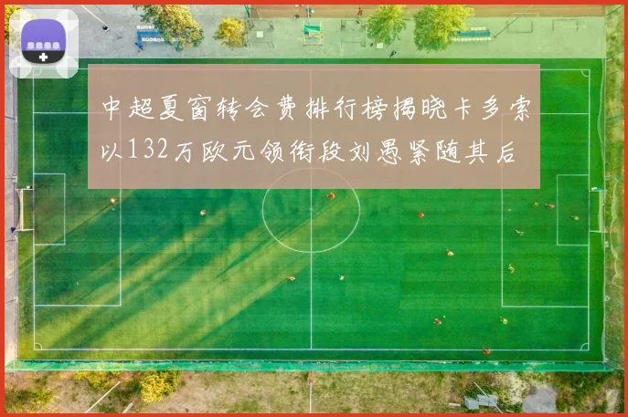 中超夏窗转会费排行榜揭晓卡多索以132万欧元领衔段刘愚紧随其后