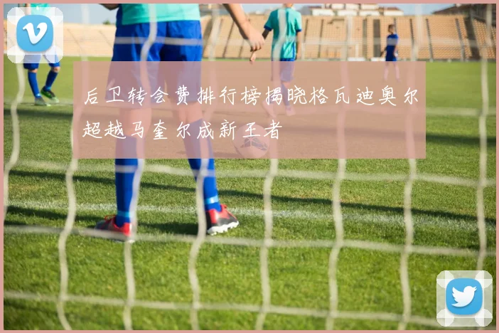 后卫转会费排行榜揭晓格瓦迪奥尔超越马奎尔成新王者